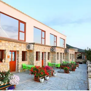 Dena Vlore
